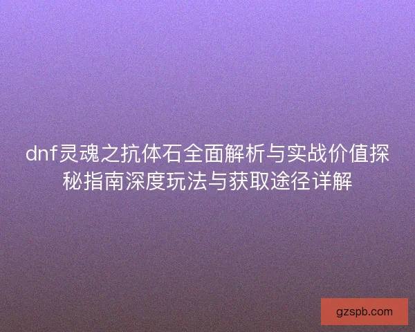 dnf灵魂之抗体石全面解析与实战价值探秘指南深度玩法与获取途径详解