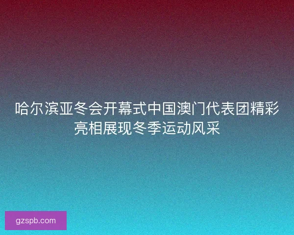 哈尔滨亚冬会开幕式中国澳门代表团精彩亮相展现冬季运动风采