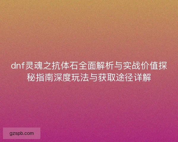 dnf灵魂之抗体石全面解析与实战价值探秘指南深度玩法与获取途径详解